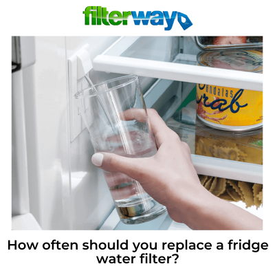 How often should you replace a fridge water filter?