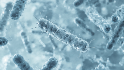 Why Is There Mold in My Water Filter? How to Prevent and Remove It Safely